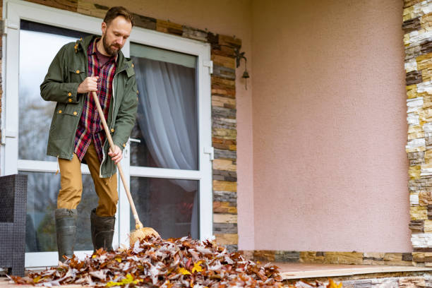 Best Professional Junk Removal  in Bear Creek, AL